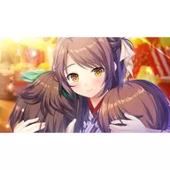 107005705_03