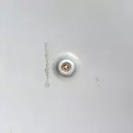 107100682-1001