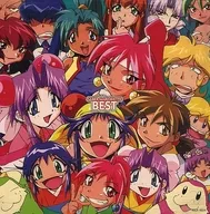 セイバーマリオネット・ベスト