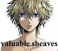 VALSHE / valuable sheaves