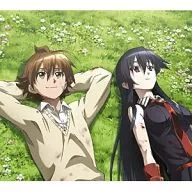 沢井美空 / こんな世界、知りたくなかった。[DVD付初回限定盤] TVアニメ「アカメが斬る!」エンディングテーマ