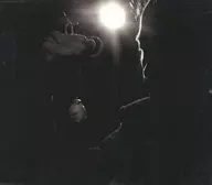 平沢進 / ベルセルク 黄金時代篇1 覇王の卵 主題曲 「Aria」