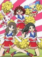 ジュエルペット ハッピネス DVD-BOX 3