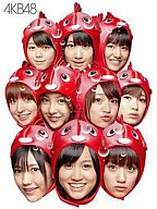 AKB48 / 逃した魚たち～シングルビデオコレクション