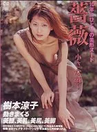 樹本涼子 / 樹本涼子