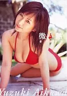 愛川ゆず季/微熱