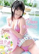 椿姫さくら / 17teen