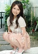 桃葉(ももは) / Peach Leaf