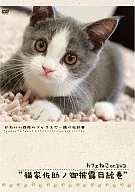 カフェねこonDVD 猫家佐助ノ御披露目絵巻