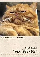 カフェねこonDVD プリンス 哲と学の憂鬱