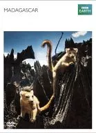 マダガスカル BBCオリジナル完全版
