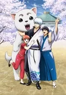 銀魂 銀祭り2019(仮) [初回仕様限定版]