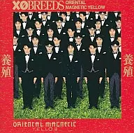 養殖 XOBREEDS / TROUBADOUR R・E・C・O・R・D