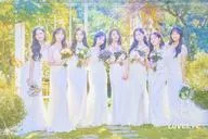 Lovelyz / SANCTUARY(Standard Edition)[輸入盤]