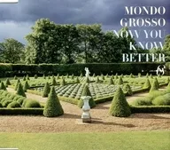 MONDO GROSSO / NOW YOU KNOW BETTER