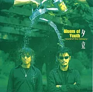 Bluem of Youth / 夕立～sound of the memory～