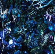 SUGIZO / ONENESS M[通常盤]