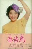山口百恵 / ｢春告鳥｣｢愛染橋｣