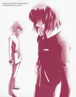 機動戦士ガンダムSEED DESTINY HDリマスター Blu-ray BOX 2 [通常版]