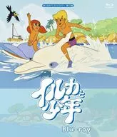 想い出のアニメライブラリー 第122集 イルカと少年