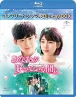 あなたが眠っている間に BD-BOX 2 コンプリート・シンプルBlu-ray-BOX [期間限定生産版]