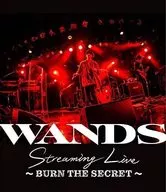 WANDS / WANDS Streaming Live-BURN THE SECRET-
