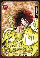 聖闘士星矢 Final Edition(12) / 車田正美