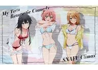 雪乃＆結衣＆いろは 特大マルチクロス 「きゃらっとくじ やはり俺の青春ラブコメはまちがっている。完～ちぇんじ・くろーず!～」 Last賞