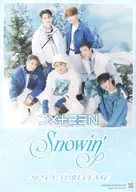 B2販促ポスター DXTEEN 「CD Snowin’」 対象店舗購入特典
