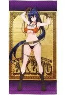 選べる特大布ポスター 姫島朱乃 「くじ引き堂 ハイスクールD×D HERO オンラインくじ ドキドキ ウエスタン ver.」 S-1-2賞