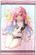 姫星々萌苺 BIGビジュアルバスタオル 「DMMスクラッチ! イラストレーター chihiro」 A-1賞