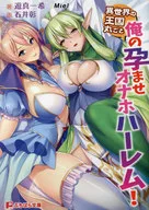 異世界の王国丸ごと俺の孕ませオナホハーレム！