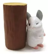 切り株からチラッ 「チンチラチラリズム」