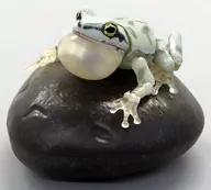 アマガエル(まだら模様グレイ) 「いきもの大図鑑アドバンス　アマガエル02」