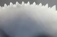 602029476-1001_3