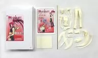 杉浦碧 コミックス版 「舞-HiME」 1/6 レジンキャストキット ボークスショップ＆ホビー天国ウェブ限定