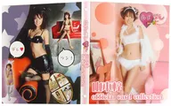 山本梓 オフィシャルカードコレクション あずンデレ 専用バインダー