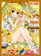 C-4 『藤真拓哉』 キャラクタースリーブ プラチナグレードEX 「ブロッコリー トレカアイテムくじSP 『E☆2』第2弾」 C賞
