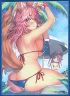 【Fate】スリーブ 玉藻の前(B-銀河) COMIC1☆12/クラスター