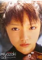 宮﨑あおい 2003年度 壁掛けカレンダー 