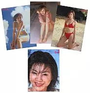 [単品] 井川遥 等身大バスタオル+お風呂ポスター3枚セット 「ハルカづくし コンプリートセット」 ヤングマガジン誌上通販限定