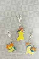 155.ヒノアラシ＆156.マグマラシ＆157.バクフーン 全国ずかんメタルチャーム(3個セット) 「ポケットモンスター」 ポケモンセンター限定