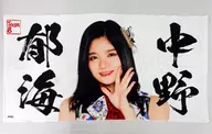 中野郁海(チーム8) 個別BIGタオル 2019年AKB48グループショップ予約限定
