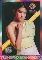 コレクションピンナップポスター No.16 岸本ゆめの 「つばきファクトリー CONCERT TOUR ～PARADE～」