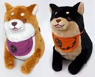 全2種セット ハロウィンBIGぬいぐるみ 「忠犬もちしば」 店舗限定