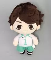 及川徹 おでかけぬいぐるみ 「ハイキュー!!」