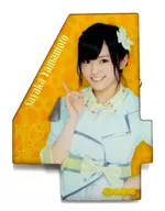 山本彩(AKB48/TeamN) 推しアクリルバッジ 「NMB 4th Anniversary Live」