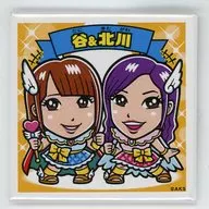 谷真理佳＆北川綾巴(SKE48)/谷＆北川 「AKBックリマン ランダムスクエア缶バッジ」