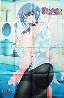 桜美園 描き下ろしB2タペストリー 「PCソフト 瞳の烙淫2 ～絶対不可避の審媚眼～」 グッドウィル予約特典