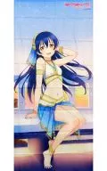 園田海未 シャワータペストリー 「ラブライブ!」 電撃G`s Festival Vol.40 2015年04月号付録